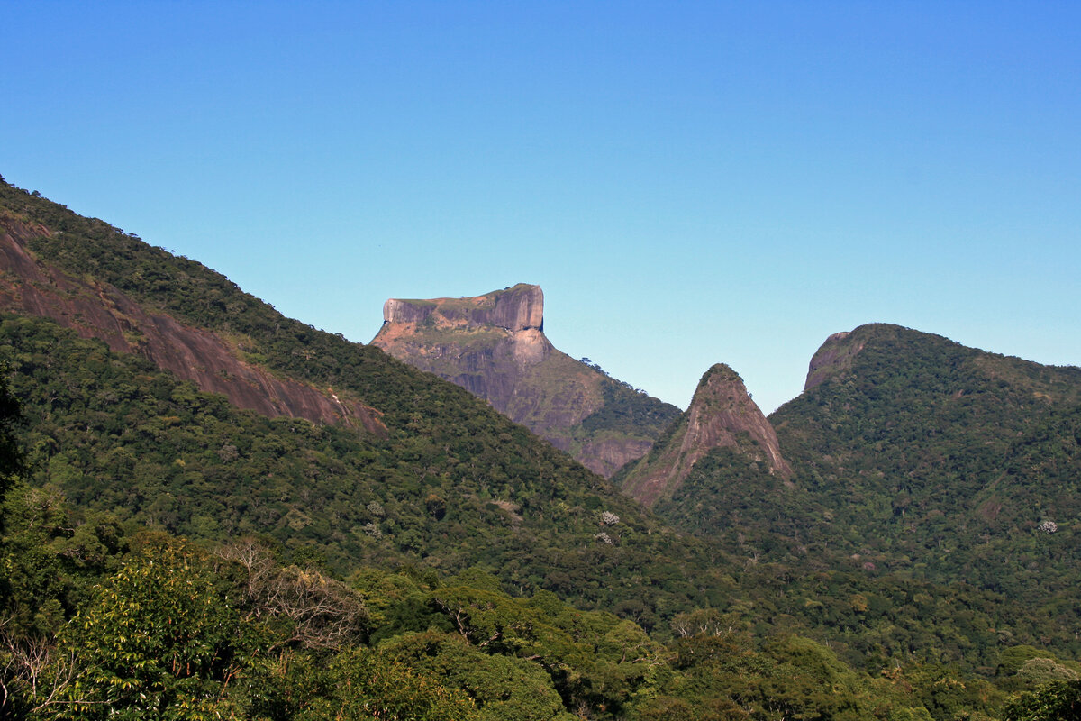 Tijuca Forest, Rio de Janeiro nature tour